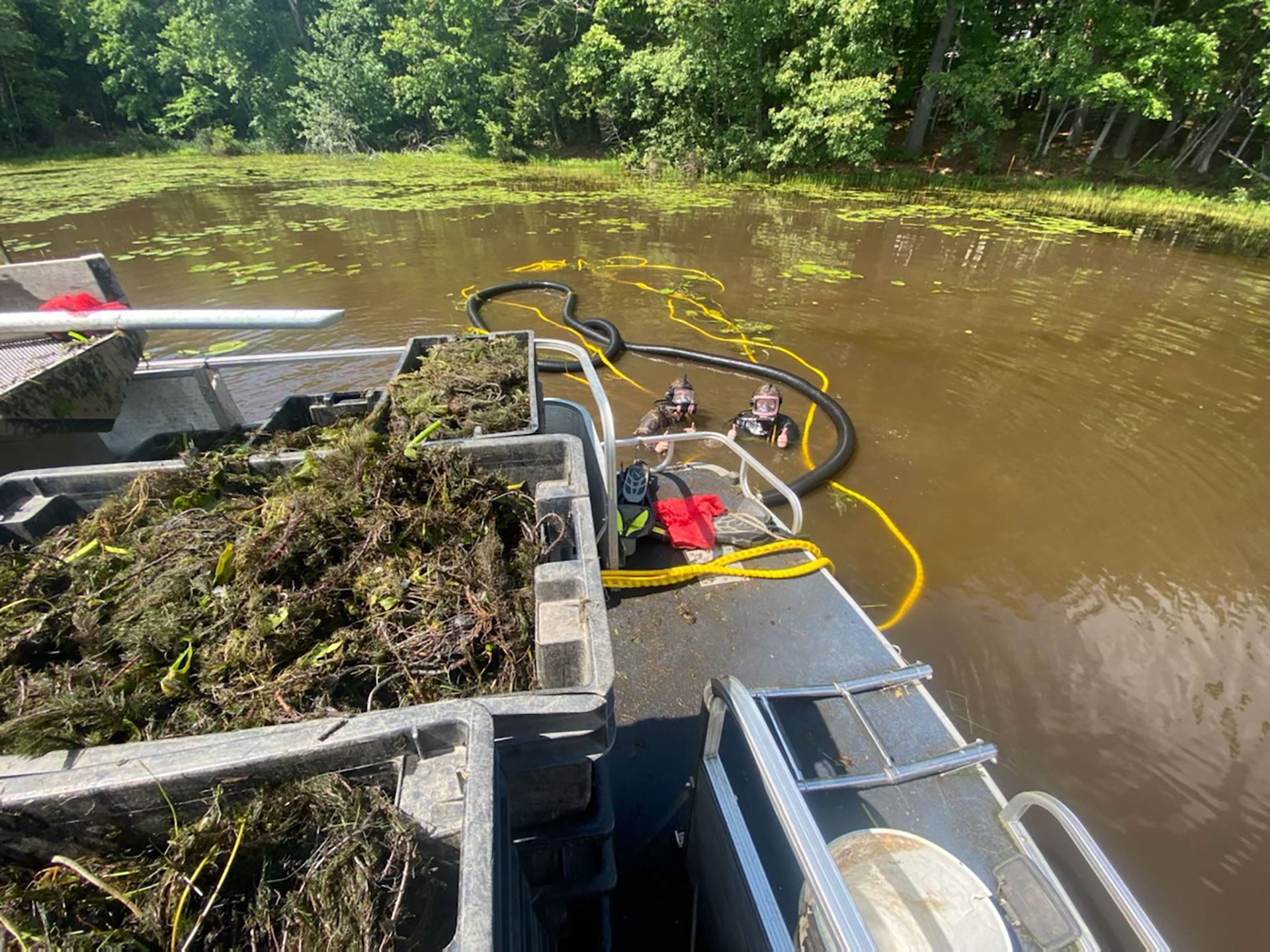 MAINE LAKES Divers Harvesting Milfoil in Sebago Cove, Photo by Alanna Yannelli