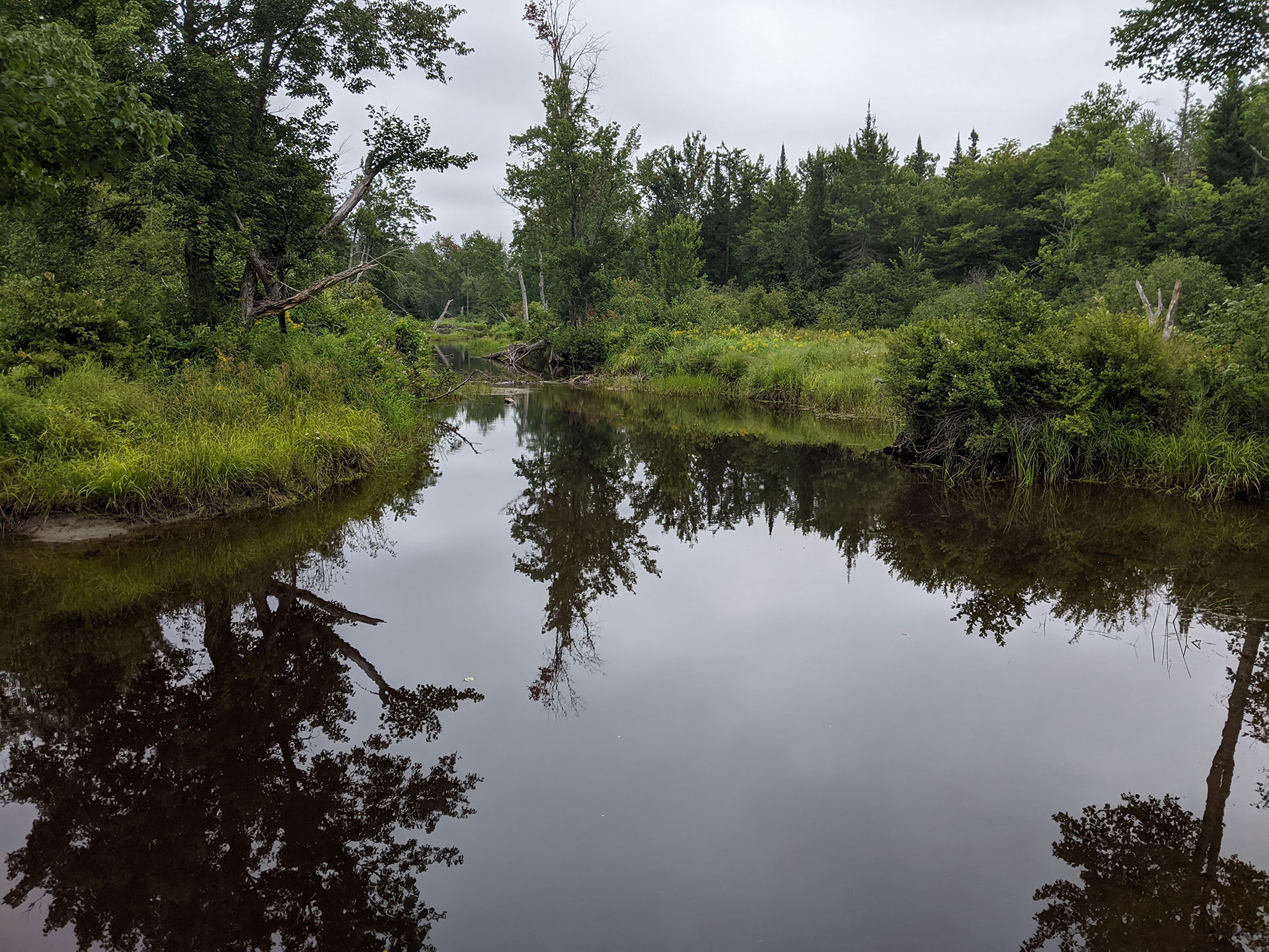 Sheepscot River Headwaters, Midcoast Conservancy