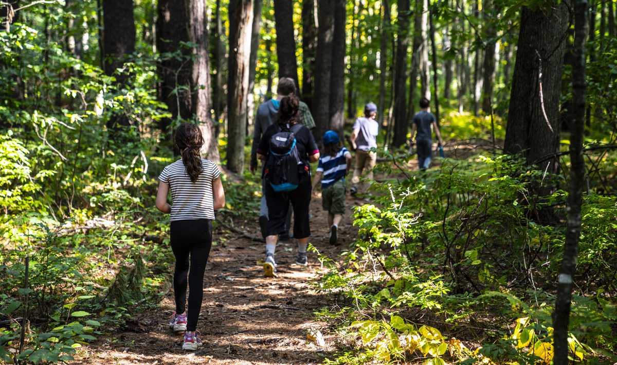 North Deering Project, Trust for Public Land