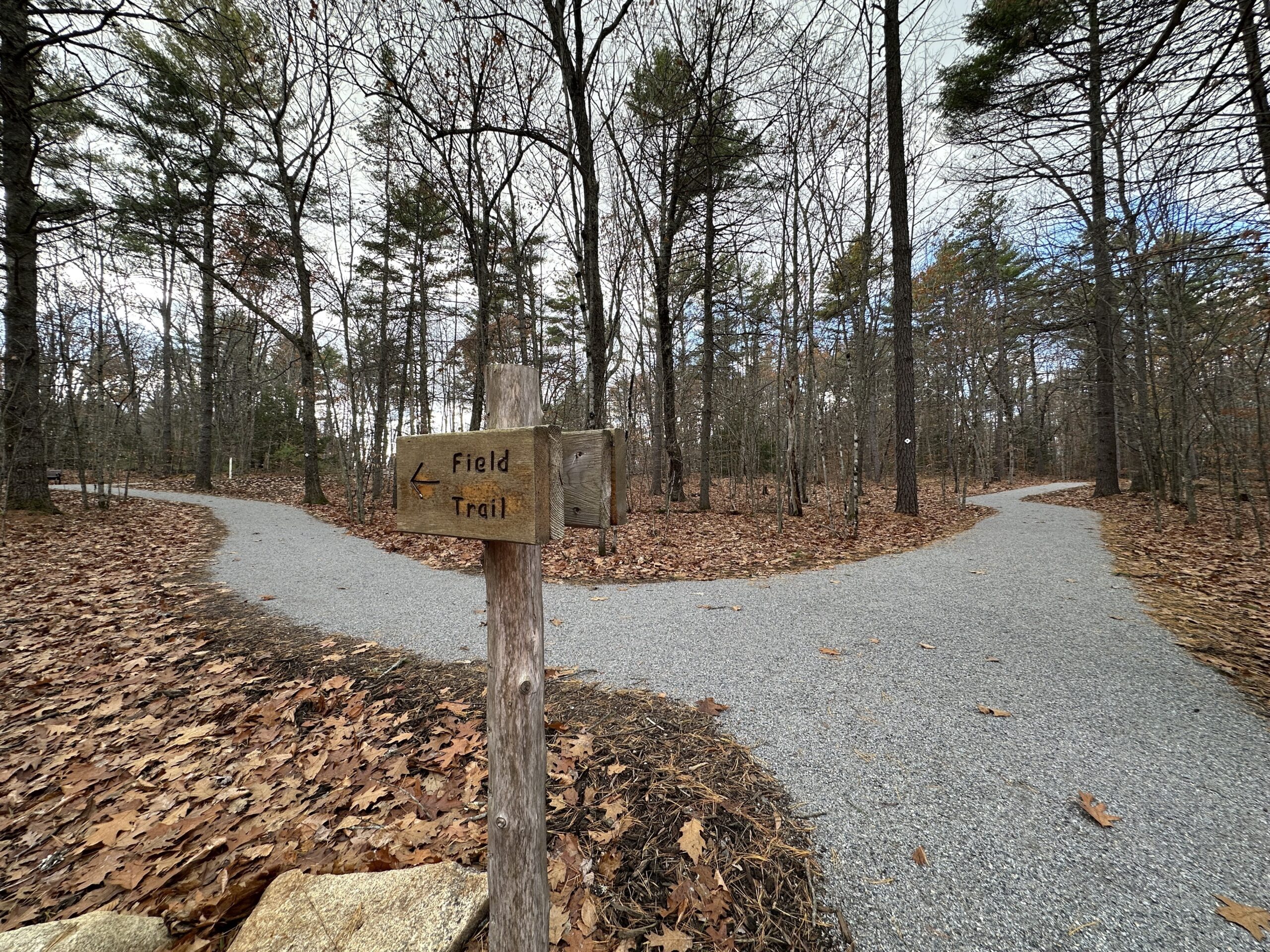 Loon Echo Land Trust, Accesible Trail
