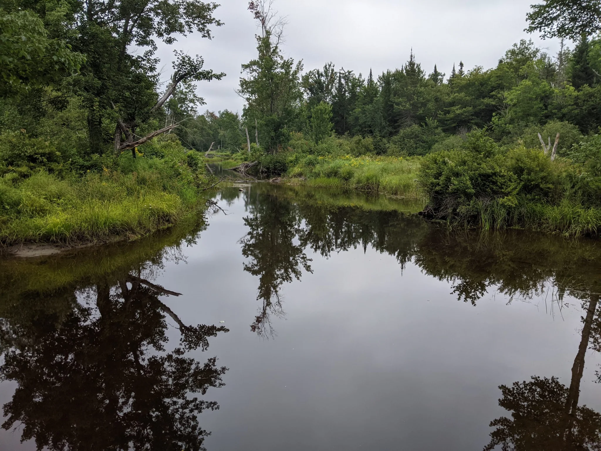 MIDCOAST CONSERVANCY - Sheepscot River Headwaters.